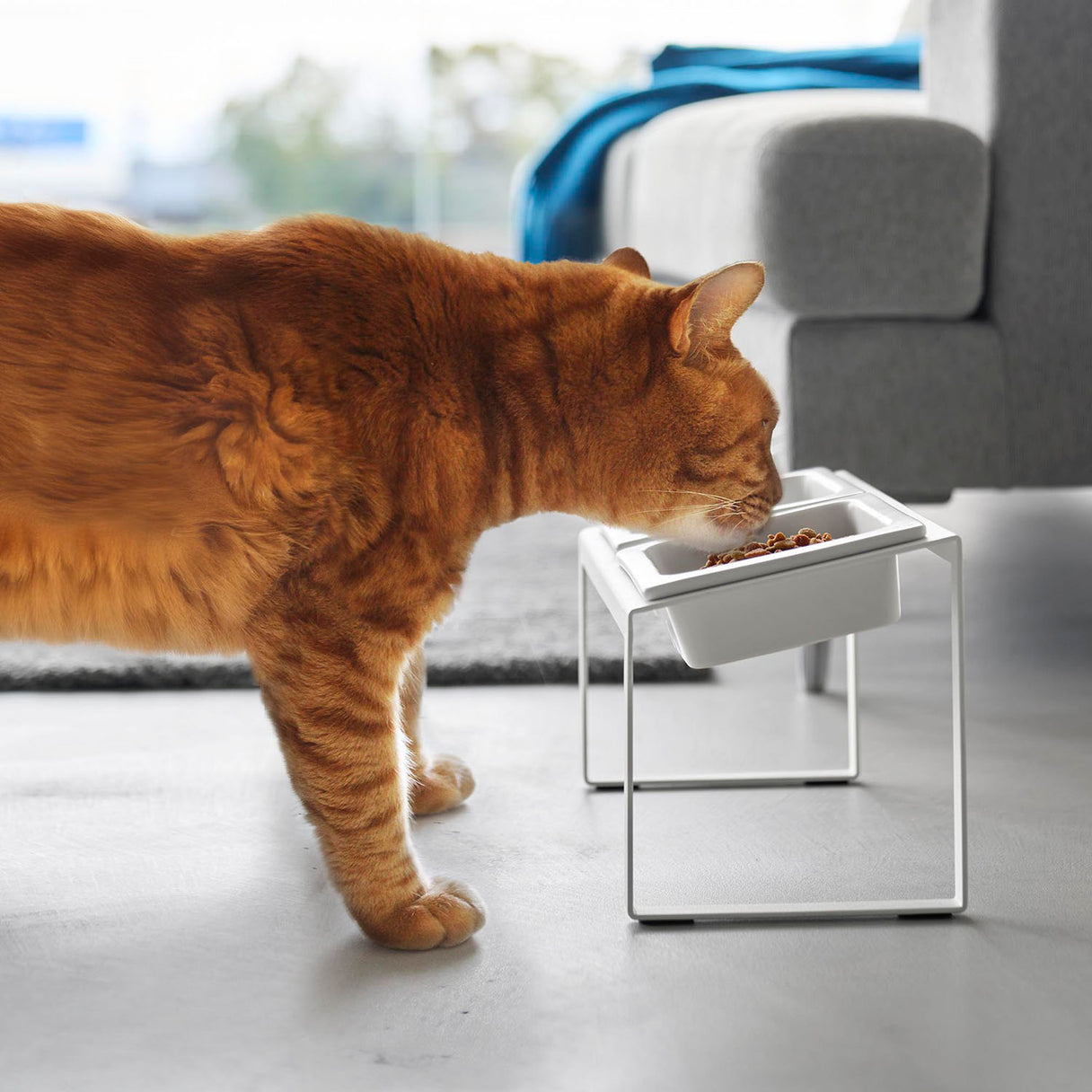 10241_desc2_main.jpg